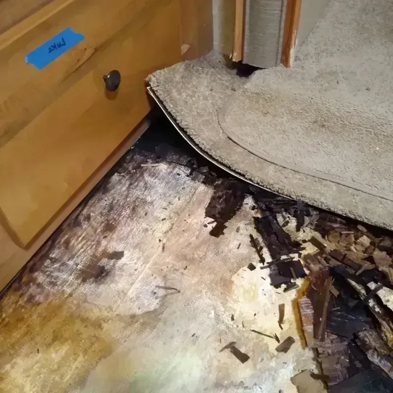 Wood Floor Water Damage in Brooklyn Park, MD